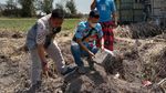 Ini Uang Kuno yang Ditemukan di Persawahan Lamongan