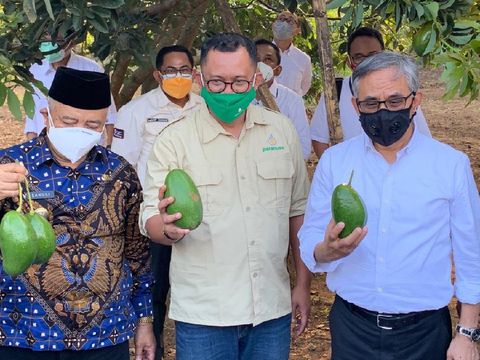 Jurus OJK Dukung Pemulihan Ekonomi di Surabaya dan Kabupaten Malang