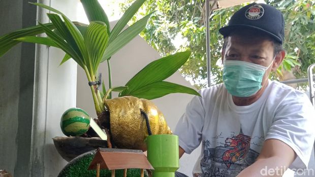Kreasi bonsai kelapa bikinan Puji Hartono di Klaten