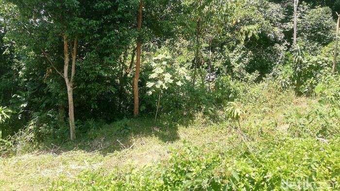 Lokasi makam monyet di Sumedang