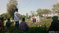 Layaknya pemakaman, keluarga yang jenazahnya dipindahkan ke makam umum juga diikuti oleh keluarga. Dipimpin modin setempat, keluarga dan warga juga secara bersama-sama kembali melantunkan bacaan tahlil dan doa.