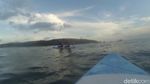 Mau Main Paddle Board Seperti Bu Susi? Bisa Banget di Pangandaran