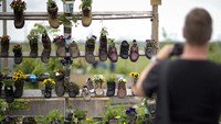 Bunga ditanam di sepatu di taman Tempelhofer Feld, Berlin, Inggris. 