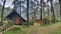 Grafika Cikole menawarkan penginapan dikelilingi hutan pinus yang rebat. Destinasi ini berada di area perbukitan seluas sembilan hektar dan di atas ketinggian 1.400 mdpl (dok TWGC Lembang)