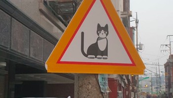 Rambu lalu lintas untuk memperingatkan agar pengendara hati-hati karena di area ini banyak kucing menyeberang jalan. Foto: Bored Panda