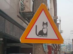 Inovasi Unik yang Mungkin Hanya Ada di Korea