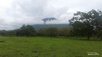 Penamaan Baluran di Ambil dari Gunung Baluran