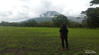 Padang savana di Taman Nasional Baluran merupakan padang savana terluas di Pulau Jawa.