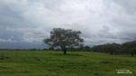 Taman Nasional Baluran si Africa Van Java