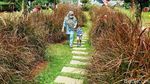 Nggak Usah Jauh-jauh, Piknik di Tengah Kota Ini juga Nggak Kalah Asyik