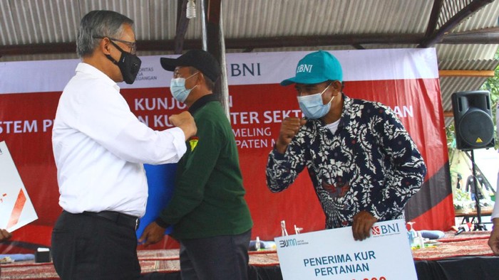 Ketua Dewan Komisioner Otoritas Jasa Keuangan (OJK) Wimboh Santoso (kanan) memetik buah alpukat di sela kegiatan Kunjungan Ekosistem Pembiayaan KUR Klaster Sektor Pertanian di Kebun Pembibitan Alpukat Pameling, Lawang, Malang, Jawa Timur, Sabtu (4/9/2021). Otoritas Jasa Keuangan berupaya meningkatkan akses pembiayaan perbankan kepada petani dengan memperbanyak pembentukan klaster pertanian dan menciptakan ekosistem guna mempermudah para petani dalam pengajuan, pencairan, penjaminan kredit serta memasarkan produk pertanian. ANTARA FOTO/Ari Bowo Sucipto/wsj.