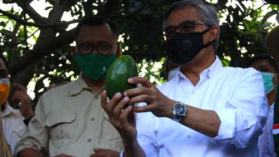 Tingkatkan Akses Pembiayaan KUR Petani