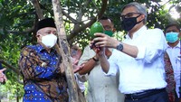 Ketua Dewan Komisioner Otoritas Jasa Keuangan (OJK) Wimboh Santoso (kanan) didampingi Bupati Malang Sanusi (kiri) memetik buah alpukat di sela kegiatan Kunjungan Ekosistem Pembiayaan KUR Klaster Sektor Pertanian di Kebun Pembibitan Alpukat Pameling, Lawang, Malang, Jawa Timur, Sabtu (4/9/2021). 