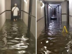 Potret Viral Ganasnya Banjir Bersejarah di Kota New York