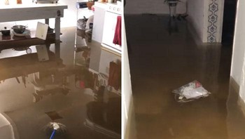 Rasanya seperti tinggal di hutan, seperti hujan tropis. Luar biasa. Semuanya begitu aneh tahun ini, kata seorang penduduk. Foto: Bored Panda