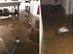 Potret Viral Ganasnya Banjir Bersejarah di Kota New York