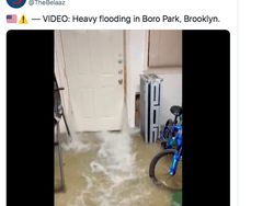 Potret Viral Ganasnya Banjir Bersejarah di Kota New York