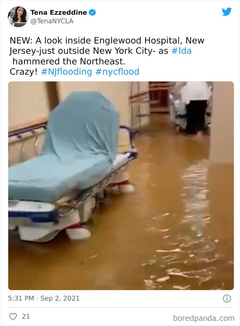 Potret viral banjir New York