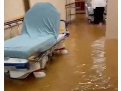 Potret Viral Ganasnya Banjir Bersejarah di Kota New York