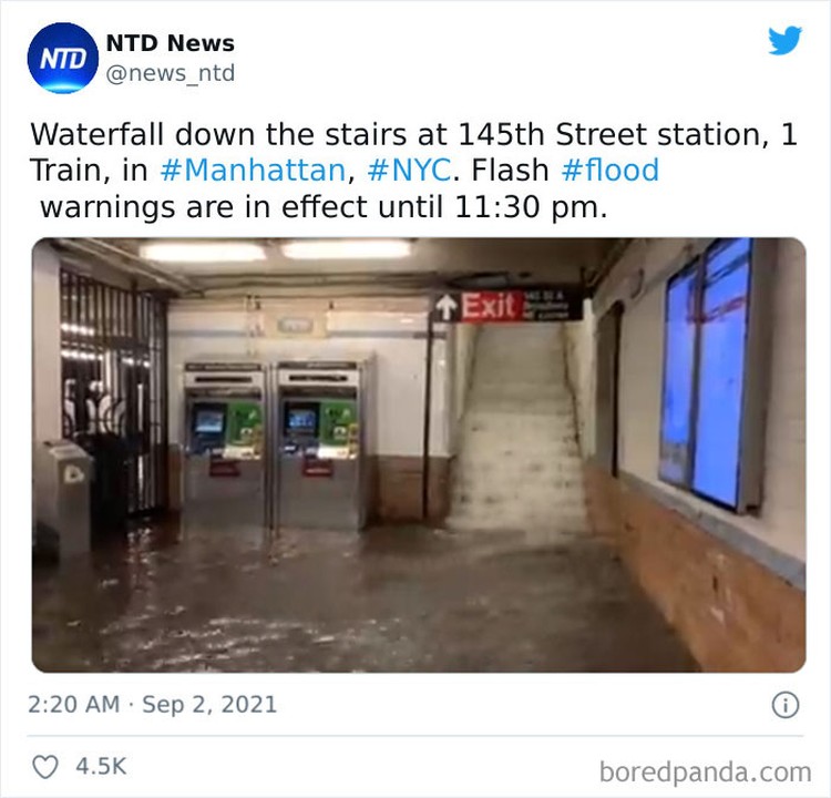 Potret viral banjir New York Potret viral banjir New York