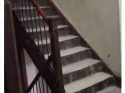 Potret Viral Ganasnya Banjir Bersejarah di Kota New York