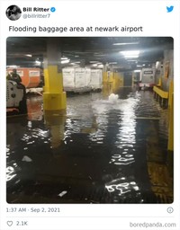 Potret viral banjir New York