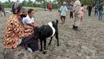 Ritual Larungan di Pantai Pangandaran Dibubarkan Petugas