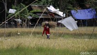 Saat detikcom berkunjung ke kawasan tersebut, sejumlah petani tampak sibuk beraktivitas di area persawahan. Saat ini petani sedang memasuki musim panen pertama pascapengoperasian PLTS tersebut.  