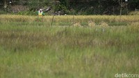Pembangunan CSR ini menghabiskan biaya hingga Rp 990 juta. Data dari PTBA, PLTS di Tanjung Raja untuk irigasi sawah merupakan satu dari tiga PLTS dari program CSR PTBA. Selain itu, PTBA juga memiliki CSR PLTS di OKI yang digunakan untuk sumber listrik sekolah.Program ini sejalan dengan noble purpose MIND ID, yaitu We explore natural resources for civilization, prosperity and a brighter future.