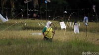 Ketua Kelompok Tani Sehati Hopaini menjelaskan sebelumnya kelompok tani yang beranggotakan 30 petani ini hanya memanfaatkan air hujan sebagai sumber utama pengairan sawah. Hal itu pulalah yang menyebabkan lahan sawah yang digarap para petani hanya bisa panen satu kali karena mengikuti musim penghujan.