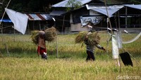 Beberapa waktu lalu, Kelompok Tani Sehati mendapat bantuan CSR dari PT Bukit Asam Tbk, anggota holding industri pertambangan Indonesia atau Mining Industry Indonesia (MIND ID), berupa PLTS yang digunakan sebagai sumber irigasi sawah.  