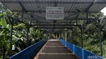 Ada PLTS untuk Irigasi, Petani di Sumsel Bisa Panen Setahun 2 Kali