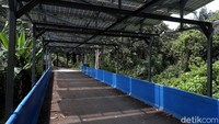 Selain itu, lokasi ini juga dipilih karena paling pas untuk mendapatkan terik matahari. Saat ini warga setempat disebut ingin menjadikan PLTS ini sebagai ikon Desa Tanjung Reja.  