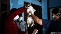 Kegiatan yang dilakukan oleh Dinas Ketahanan Pangan, Kelautan, dan Pertanian (KPKP) DKI Jakarta berkolaborasi dengan PDHI cabang DKI Jakarta dan dokter hewan praktisi menyelenggarakan vaksinasi rabies dan sterilisasi gratis di 42 klinik hewan.  