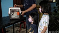 Kegiatan vaksinasi rabies yang belangsung sampai 25 September 2021 ini melibatkan puluhan klinik hewan serta dokter hewan praktisi di Jakarta. Sebagai informasi, DKI Jakarta telah bebas rabies sejak tahun 2004.  