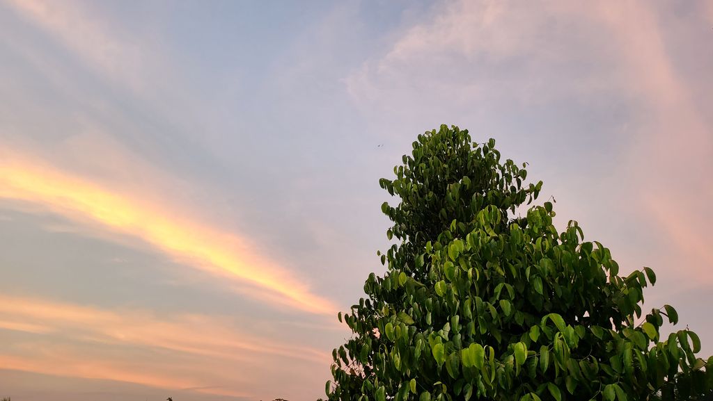 Hasil kamera utama Galaxy Z Fold 3. Hasil kamera utama Galaxy Z Fold 3 sore hari.