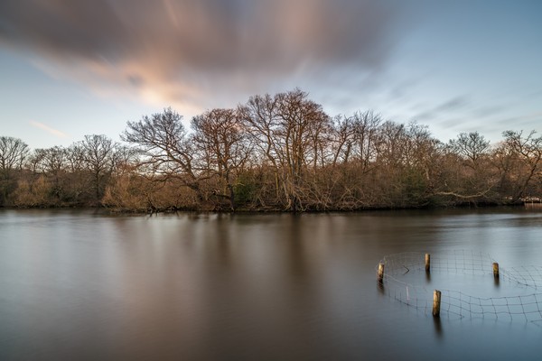 Masa lalu yang kelam terjadi pada tahun 1743. Saat itu, hutan Epping menjadi tempat persembunyian perampok terkenal, Dick Turpin. (Getty Images/iStockphoto) Masa lalu yang kelam terjadi pada tahun 1743. Saat itu, hutan Epping menjadi tempat persembunyian perampok terkenal, Dick Turpin. (Getty Images/iStockphoto)