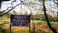 Dulunya Epping forest merupakan hutan resmi milik kerajaan. Namun, kini Hutan Epping dikelola oleh pemerintah Kota London. (Getty Images/iStockphoto)