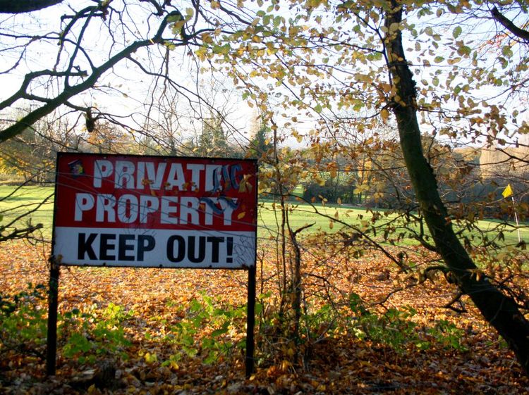 Foto: Hutan Epping, Makam Pembunuhan Berantai yang Angker