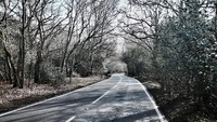 Hutan Epping membentang seluas 6.000 hektare di antara London dan Essex. (Getty Images/iStockphoto)