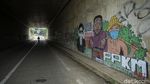 Mural Pelan Pelan Kita Mati Curi Perhatian di Bogor