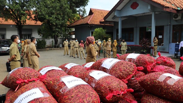 PNS di Brebes ramai-ramai borong cabai PNS di Brebes ramai-ramai borong cabai