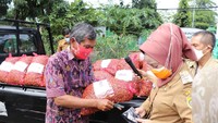 Penurunan harga ini sempat menyentuh ke titik terendah, yakni Rp 3.500 - Rp 4.000 per kilogram di tingkat petani.Foto: Imam Suripto/detikcom