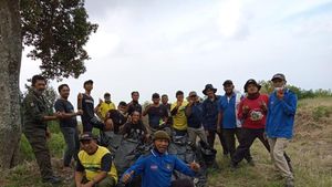 Puluhan Relawan Sapu Gunung Arjuno-Welirang, 50 Kantong Sampah Dibawa Turun