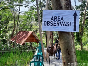 Obyek Wisata Belum Buka, Sleman Kejar Vaksinasi Pelaku Usaha