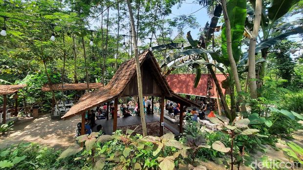 Vaksinasi di Peace Village
