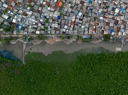 Karya Finalis Wildlife Photographer Of The Year 2021 Bikin Mata Terkesima