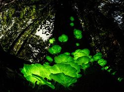 Karya Finalis Wildlife Photographer Of The Year 2021 Bikin Mata Terkesima