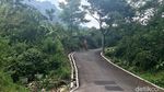 Yuks Cobain Rute Pendek yang Cukup Perih ke Leuwi Pangaduan Sentul