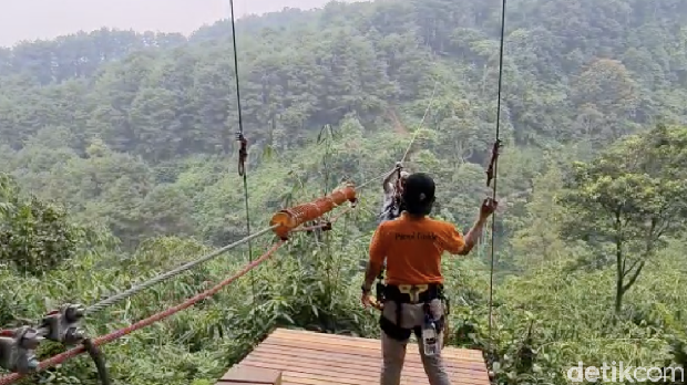 Bogor Tree Top